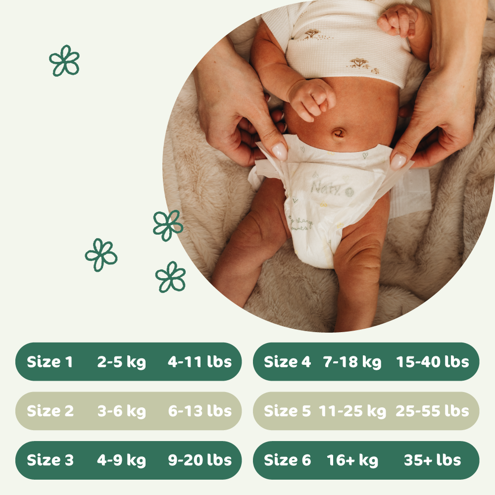 BioEmbrace Diapers Subscription (size 1), , grid, Eco by Naty